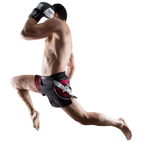 Hayabusa Kickboxing Shorts